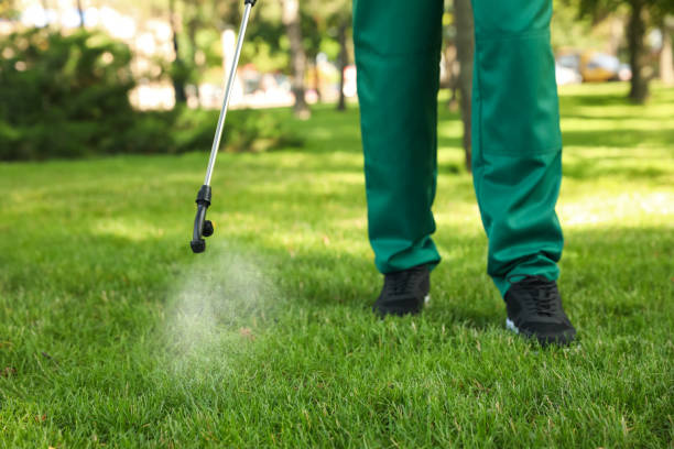 Best Wasp Removal Services  in Morton, TX