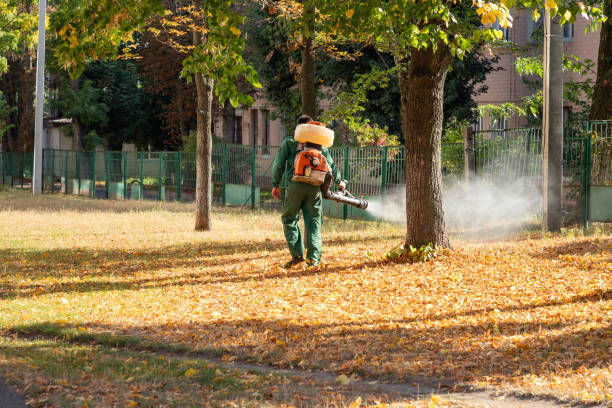 Best Termite Control Services  in Morton, TX