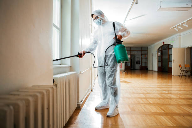 Reliable Morton, TX Pest Control Solutions
