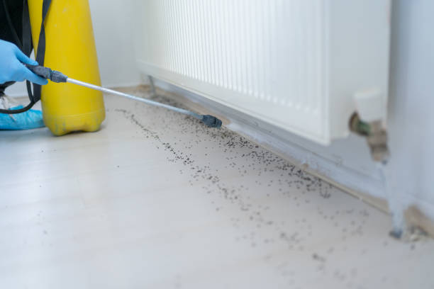 Best Commercial Pest Control Services  in Morton, TX